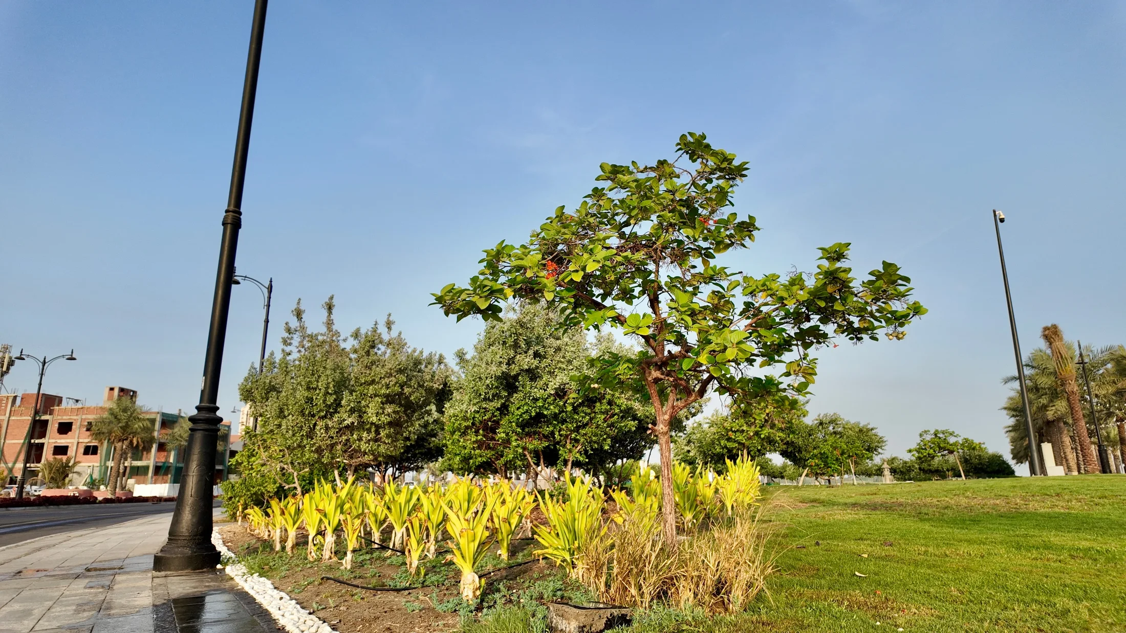 Green public areas integrated with the coastal promenade