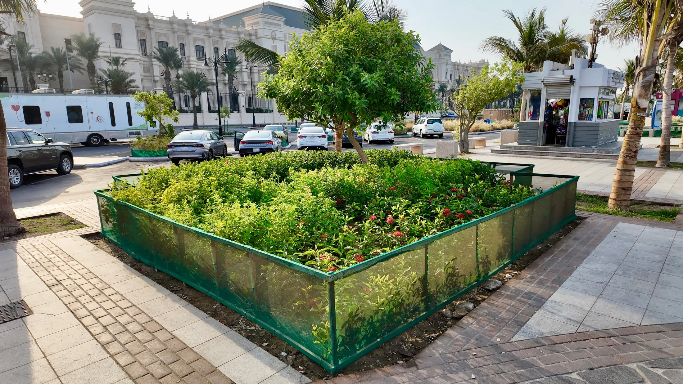 Green public areas integrated with the coastal promenade