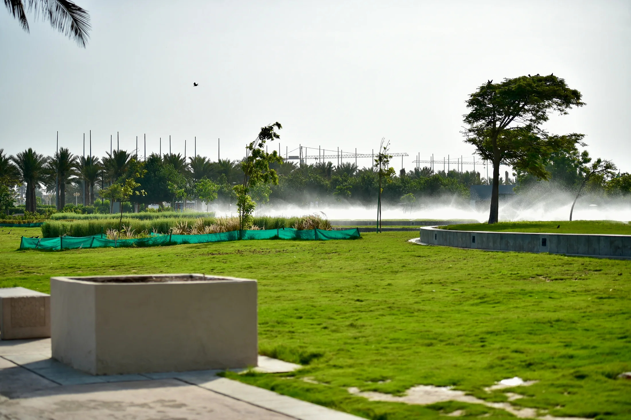 Recreation planting and pathways along the Middle Corniche
