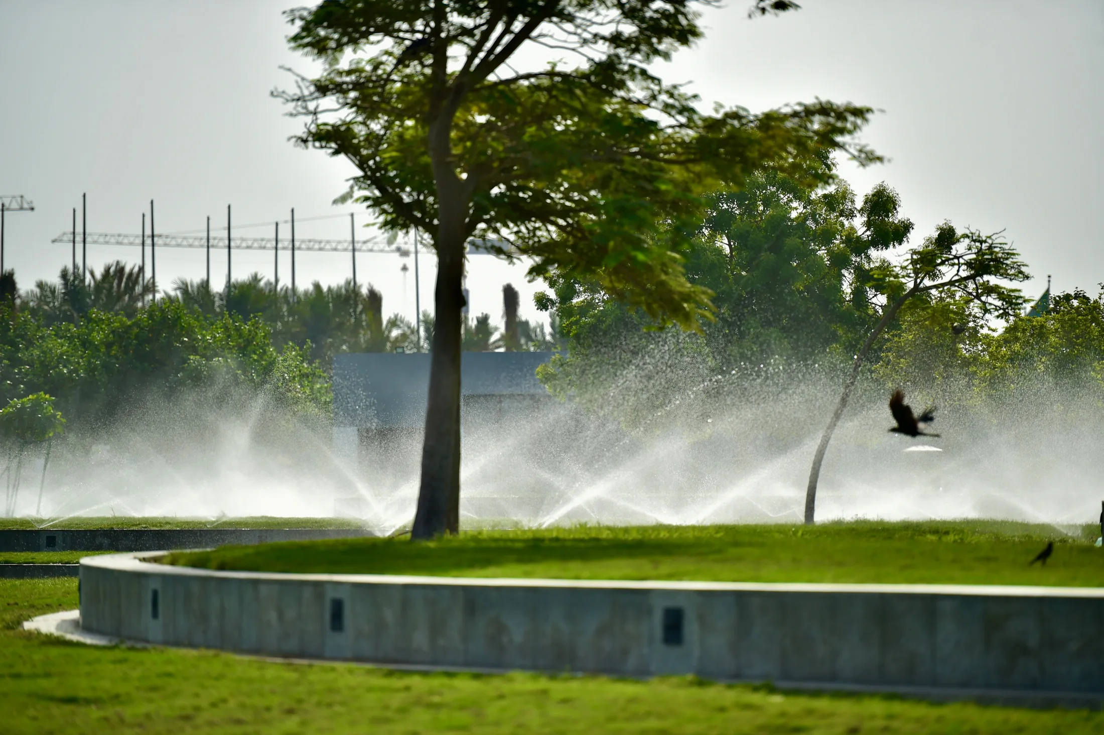 A renewed shoreline experience shaped for residents and visitors