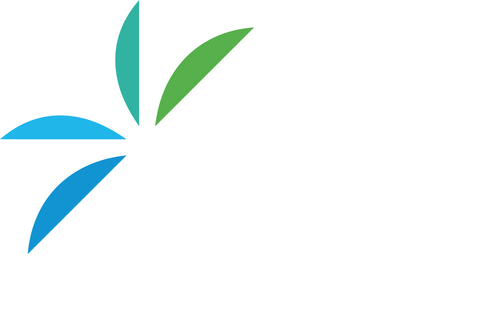 شركة ظل النخيل - DNC Group